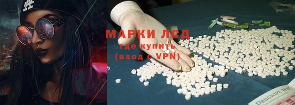 прущие грибы Балабаново