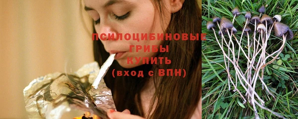 прущие грибы Балабаново
