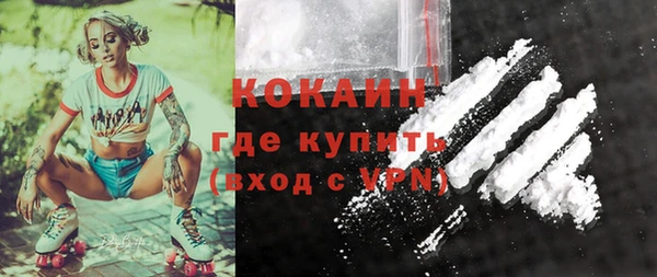 прущие грибы Балабаново