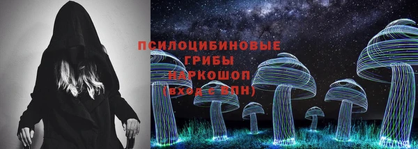 прущие грибы Балабаново